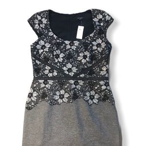 Ann Taylor dress. Gray & Black pencil fit